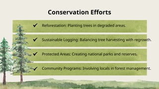 Forest Education Presentation for public | PPTX