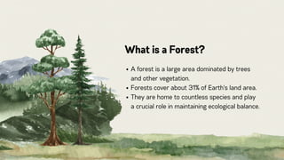 Forest Education Presentation on the topic of ai ml land.pdf