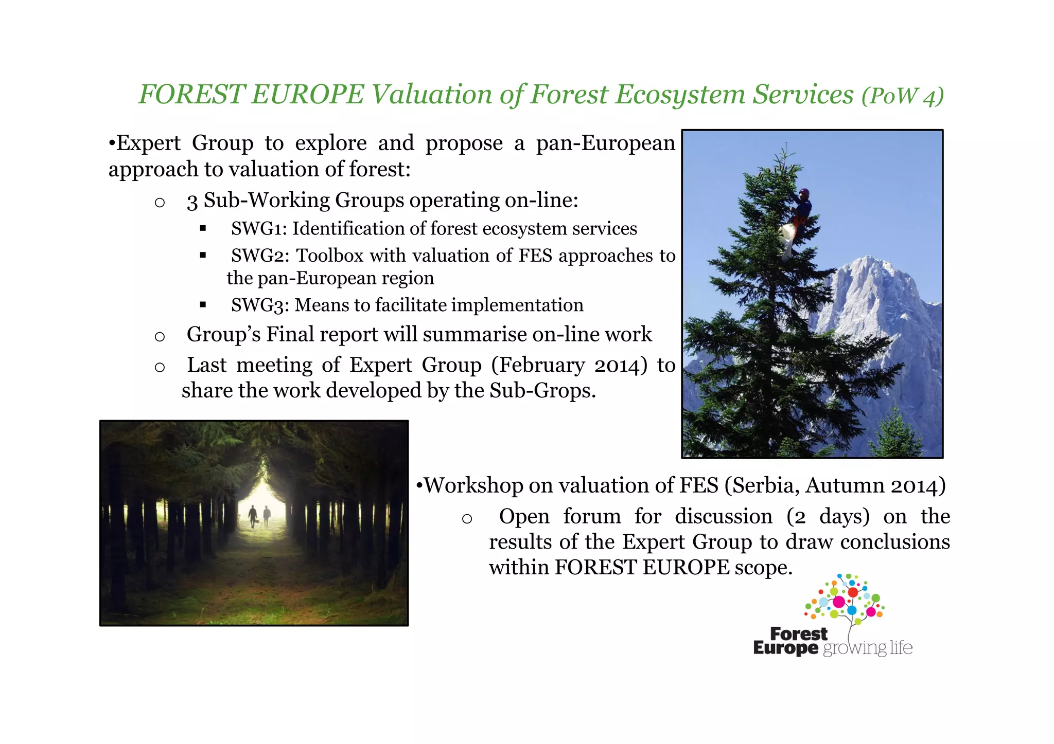 Swg2 Valuation of forest ecosystem services (FOREST EUROPE Valuation of ...