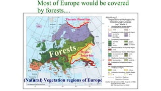 Thermic forest line
Hygric
forest line
Most of Europe would be covered
by forests…
(Natural) Vegetation regions of Europe
 