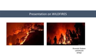 Presentation on WILDFIRES
Shumaila Taskeen
L2018V22D
SPH&Z
 