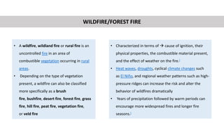 Forestfire