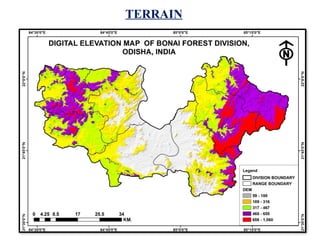 FOREST FIRE mitigation and management techniques | PPTX