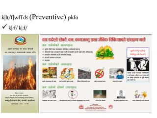 Forest Fire In Nepal, Problem and Prospects | PPTX