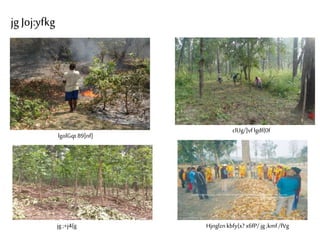 Forest Fire In Nepal, Problem and Prospects | PPTX