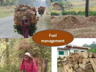 Forest Fire In Nepal, Problem and Prospects | PPTX