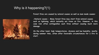 Why is it happening?(1)
Forest fires are caused by natural causes as well as man made causes:
●Natural causes - Many forest fires may start from natural causes
such as lightning, which instantly set trees on fire. However, in this
case rain often extinguishes such fires without causing much more
damage.
On the other hand, high temperatures, dryness and low humidity, mostly
during summer time, often offer favorable circumstances for a fire to
start.
 