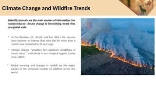 Forest fires and their impact on the environment.pptx