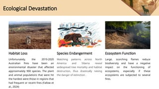 Forest fires and their impact on the environment.pptx