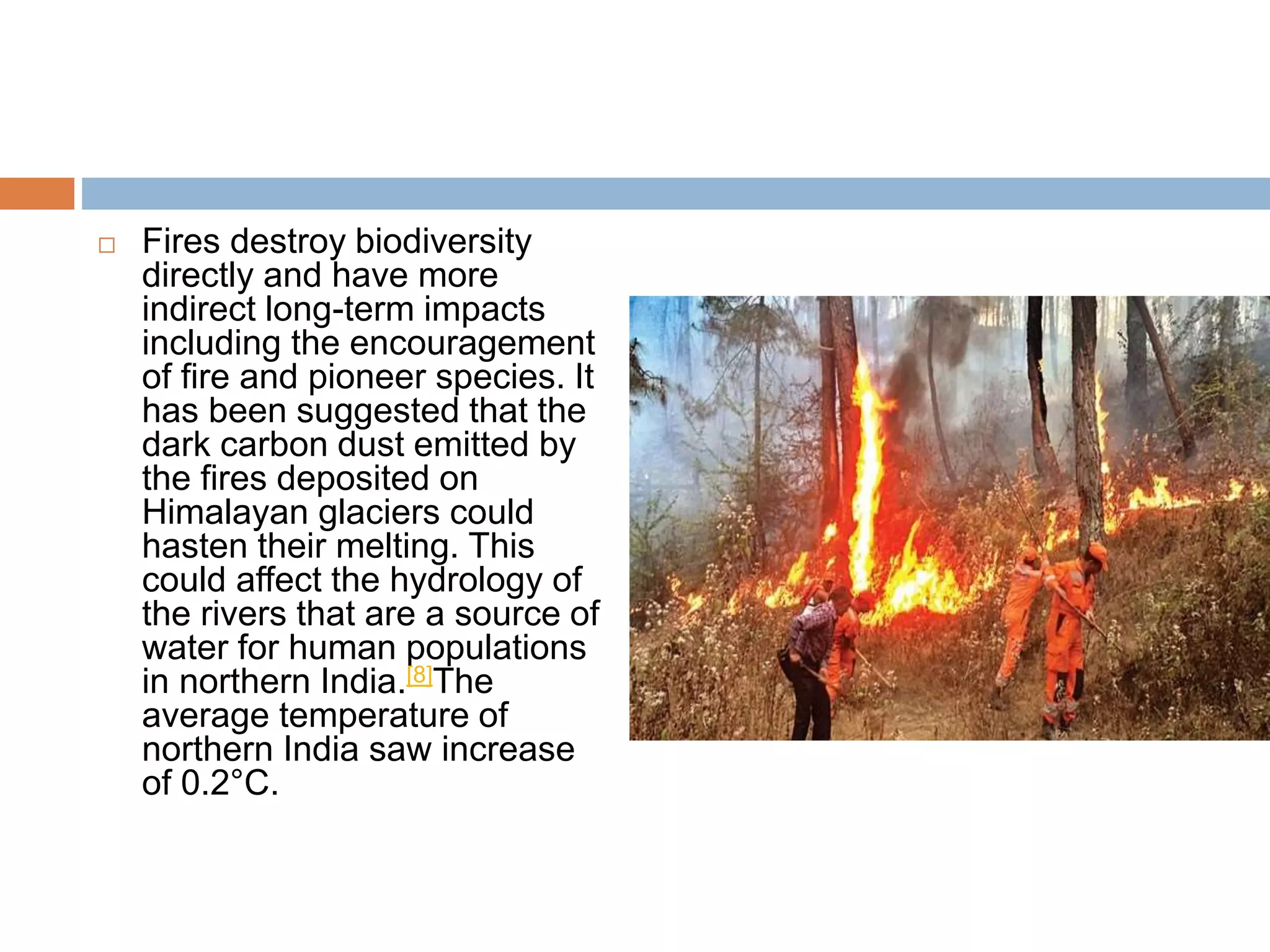Forest fires in india | PPTX