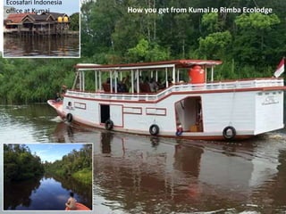Forest Fires Kalimantan On The Island Of Borneo Forest Fires Kalimantan On The Island Of Borneo