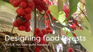 Designing food forests
fruit & nut tree guild handout
 