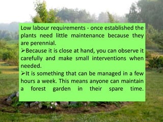 Low labour requirements - once established the
plants need little maintenance because they
are perennial.
Because it is close at hand, you can observe it
carefully and make small interventions when
needed.
It is something that can be managed in a few
hours a week. This means anyone can maintain
a forest garden in their spare time.
 
