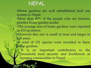 NEPAL
•Home gardens are well eshtablished land use
system in Nepal.
•More than 80% of the people who are farmers,
practice home garden model.
•The average size of home gardens were reported
as 415 sq metres.
•However this size is small in terai and larger in
hill areas.
•A total of 131 species were recorded in these
home gardens.
• It is an important contributors to the
household food security and livelihoods of
farming communities in Nepal.
 