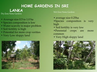 Wet Zone Home Gardens
• average size 0.25ha
•Species composition is very
high
• Soil fertility is very low
•Perennial crops are more
common
• Very High sloppy land
Dry Zone Home Gardens
• Average size 0.5 to 1.0 ha
• Species composition is low
• Water scarcity is major problem
• Soil fertility is high
• Potential for more crop verities
• Very Low sloppy land
HOME GARDENS IN SRI
LANKA
 