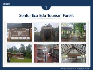 Korea-Indonesia Forest Center
1
Sentul Eco Edu Tourism Forest
3.활동현황
 