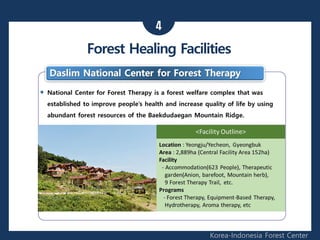 4
Korea-Indonesia Forest Center
Forest Healing Facilities
 