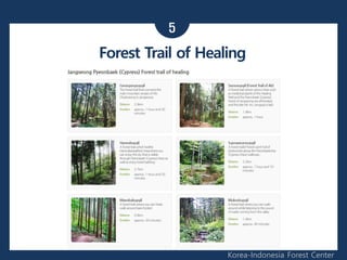 5
Korea-Indonesia Forest Center
Forest Trail of Healing
 
