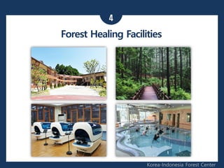 4
Korea-Indonesia Forest Center
Forest Healing Facilities
 