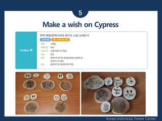 5
Korea-Indonesia Forest Center
Make a wish on Cypress
 
