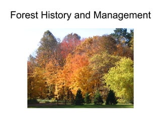 Forest History and Management 