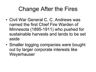 Change After the Fires Civil War General C. C. Andrews was named the first Chief Fire Warden of Minnesota (1895-1911) who pushed for sustainable harvests and lands to be set aside Smaller logging companies were bought out by larger corporate interests like Weyerhauser 