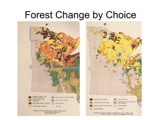 Forest Change by Choice 