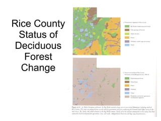 Rice County Status of Deciduous Forest Change 