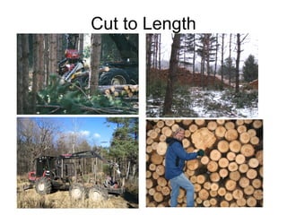 Cut to Length 