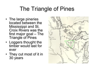 The Triangle of Pines The large pineries located between the Mississippi and St. Croix Rivers was the first major goal – The Triangle of Pines Loggers thought the timber would last for ever They cut most of it in 30 years 
