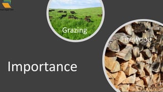Grazing
Firewood
Importance
 