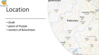 Location
• Sindh
• plains of Punjab
• western of Baluchistan
 