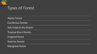 Types of Forest
Alpine Forest
Coniferous forests
Sub-tropical dry forests
Tropical thorn forests
Irrigated forest
Riverian forests
Mangrove forest
 