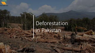 Deforestation
in Pakistan
 
