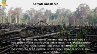 Climate Imbalance
Trees also provide the required shade that keeps the soil moist. Flora &
fauna across the world are accustomed to their habitat. This haphazard clearance
of forests has forced several of these animals to shift from their native
environment. Due to this several species are finding it difficult to survive or adapt
to new habitats.
 