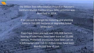 The Billion Tree Afforestation Project in Pakistan’s
northern Khyber Pakhtunkhwa (KPK) province was
launched in 2014.
It surpassed its target by restoring and planting
trees in 350,000 hectares of degraded forest
landscapes.
Trees have been planted over 209,008 hectors.
Sowing of new trees have been done on 23,096
hectors. Protected enclosures have been set on
4,509 hectors and 153.51 million trees have been
distributed free of cost.
 