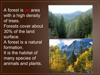 A forest is an area
with a high density
of trees.
Forests cover about
30% of the land
surface.
A forest is a natural
forma...
