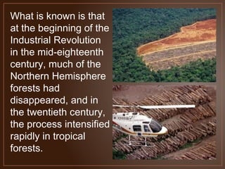 What is known is that
at the beginning of the
Industrial Revolution
in the mid-eighteenth
century, much of the
Northern Hemisphere
forests had
disappeared, and in
the twentieth century,
the process intensified
rapidly in tropical
forests.