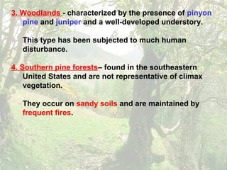 3. Woodlands - characterized by the presence of pinyon
pine and juniper and a well-developed understory.
This type has been subjected to much human
disturbance.
4. Southern pine forests– found in the southeastern
United States and are not representative of climax
vegetation.
They occur on sandy soils and are maintained by
frequent fires.
 