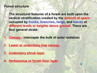 Forest structure
The structural features of a forest are built upon the
vertical stratification created by the amount of space
occupied by trunks, branches, twigs, and leaves at
different levels or heights above ground. There are
four general strata:
1. Canopy - intercepts the bulk of solar radiation.
2. Lower or understory tree canopy.
3. Understory shrub layer.
4. Herbaceous or forest floor layer.
 