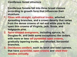 Coniferous forest structure
Coniferous forests fall into three broad classes
according to growth form that influences their
structure:
1. Pines with straight, cylindrical trunks, whorled
spreading branches, and a crown density that varies
from the dense crowns of red and white pine to the
open thin crowns of Virginia, jack, Scots, and
lodgepole pine.
2. Spire-shaped evergreens, including spruce, fir,
Douglas-fir, and (with some exceptions) the cedars,
with more or less tall pyramidal open crowns,
gradually tapering trunks, and whorled, horizontal
branches.
3. Deciduous conifers, such as larch and bald cypress,
that have pyramidal, open crowns and shed their
needles annually.
 