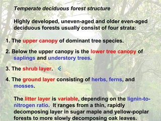 Temperate deciduous forest structure
Highly developed, uneven-aged and older even-aged
deciduous forests usually consist of four strata:
1. The upper canopy of dominant tree species.
2. Below the upper canopy is the lower tree canopy of
saplings and understory trees.
3. The shrub layer.
4. The ground layer consisting of herbs, ferns, and
mosses.
The litter layer is variable, depending on the lignin-to-
nitrogen ratio. It ranges from a thin, rapidly
decomposing layer in sugar maple and yellow-poplar
forests to more slowly decomposing oak leaves.
 