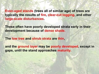 Even-aged stands (trees all of similar age) of trees are
typically the results of fire, clear-cut logging, and other
large-scale disturbances.
These often have poorly developed strata early in their
development because of dense shade.
The low tree and shrub strata are thin,
and the ground layer may be poorly developed, except in
gaps, until the stand approaches maturity.
 