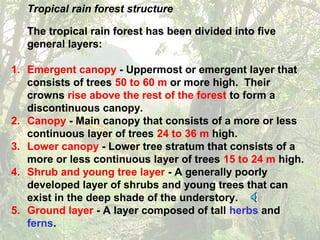 Tropical rain forest structure
The tropical rain forest has been divided into five
general layers:
1. Emergent canopy - Uppermost or emergent layer that
consists of trees 50 to 60 m or more high. Their
crowns rise above the rest of the forest to form a
discontinuous canopy.
2. Canopy - Main canopy that consists of a more or less
continuous layer of trees 24 to 36 m high.
3. Lower canopy - Lower tree stratum that consists of a
more or less continuous layer of trees 15 to 24 m high.
4. Shrub and young tree layer - A generally poorly
developed layer of shrubs and young trees that can
exist in the deep shade of the understory.
5. Ground layer - A layer composed of tall herbs and
ferns.
 