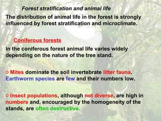 Forest stratification and animal life
The distribution of animal life in the forest is strongly
influenced by forest stratification and microclimate.
Coniferous forests
In the coniferous forest animal life varies widely
depending on the nature of the tree stand.
o Mites dominate the soil invertebrate litter fauna.
Earthworm species are few and their numbers low.
o Insect populations, although not diverse, are high in
numbers and, encouraged by the homogeneity of the
stands, are often destructive.
 