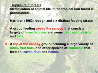 Tropical rain forests
Stratification of animal life in the tropical rain forest is
pronounced.
Harrison (1962) recognized six distinct feeding strata:
1. A group feeding above the canopy that consists
largely of insectivorous and some carnivorous birds
and bats.
2. A top of the canopy group including a large variety of
birds, fruit bats, and other species of mammals that
feed on leaves, fruit and nectar.
 