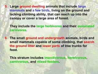 5. Large ground dwelling animals that include large
mammals and a few birds, living on the ground and
lacking climbing ability, that can reach up into the
canopy or cover a large area of forest.
They include the large herbivores and their associated
carnivores.
6. The small ground and undergrowth animals, birds and
small mammals capable of some climbing, that search
the ground litter and lower parts of tree trunks for
food.
This stratum includes insectivorous, herbivorous,
carnivorous, and mixed feeders.
 