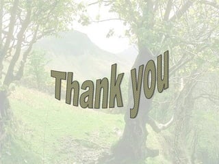 Forest life and its conservation