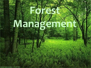 Forest Management 