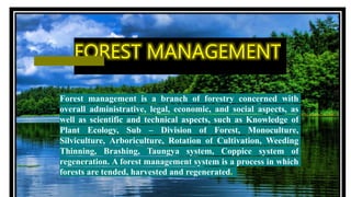 Forest management | PPT